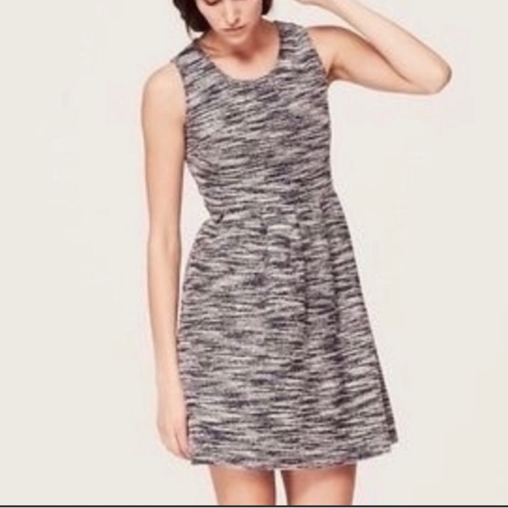 Loft Nubby Tweed Tank Dress with exposed back zipper